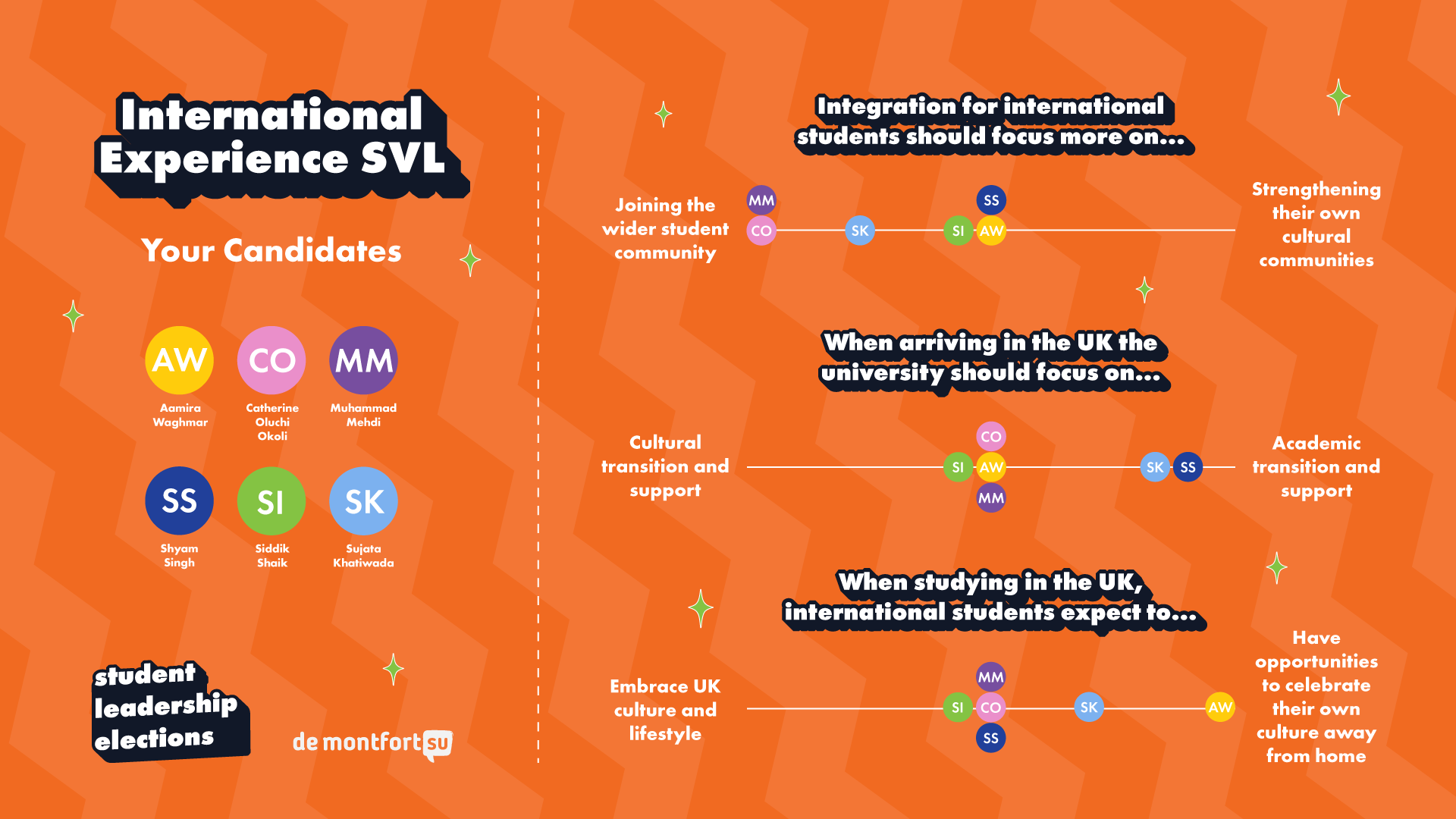 DSU Student leadership Elections 2026 International Experience SVL Candidate Opinions Graphic.